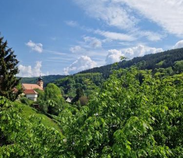 Heiligkreuzsteinach House | Ferienhaus Heinz