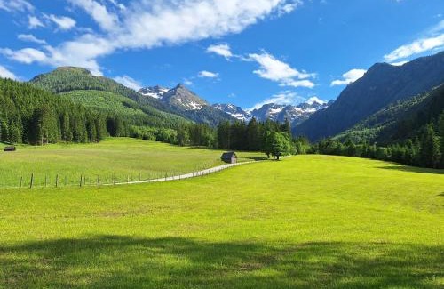 Aich House | Ferienhaus Hinterhabneralm