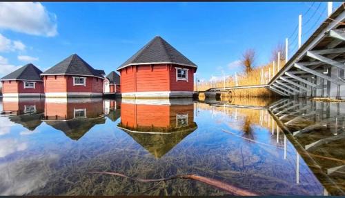 Erfurt Apartment | Ferienhaus im Gänseried