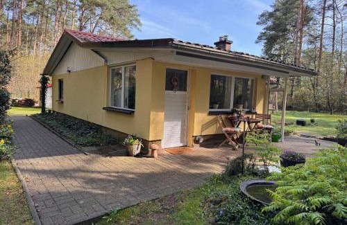 Borkwalde House | Ferienhaus im Wald