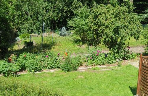 Grunhof House | Ferienhaus in Geesthacht-Tesperhude direkt am Waldrand