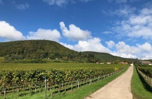 Gleisweiler Apartment | Ferienhaus Lindenallee 20