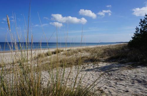 Trassenheide House | Ferienhaus Marny
