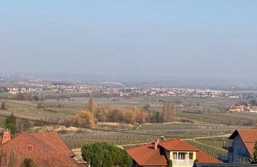 Weyher in der Pfalz Apartment | Ferienhaus Pfälzer Wald Weyher