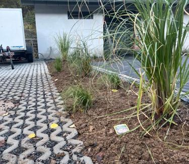 Schleiden House | Ferienhaus Waldbaden im Nationalpark Eifel- am Bach