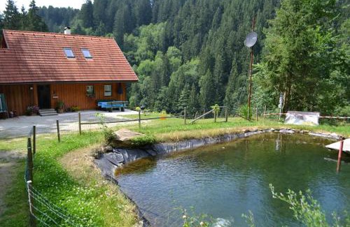 Wolfsberg House | Ferienhaus Waldenstein 1