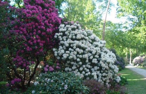 Graal Apartment | Ferienobjekt Graal Müritz A11