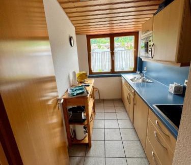 Bodman-Ludwigshafen Apartment | Ferienresidenz Seegarten - mit privatem Seezugang und hauseigenem Schwimmbad
