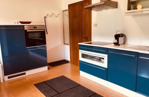 Steindorf am Ossiacher See Apartment | Ferienwohnung Resi mit traumhaftem Seepanorama