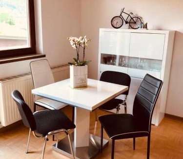 Steindorf am Ossiacher See Apartment | Ferienwohnung Resi mit traumhaftem Seepanorama