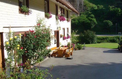 Gremmelsbach Apartment | Ferienwohnung 4, 36qm mit 1 Schlafzimmer für max. 2 Personen