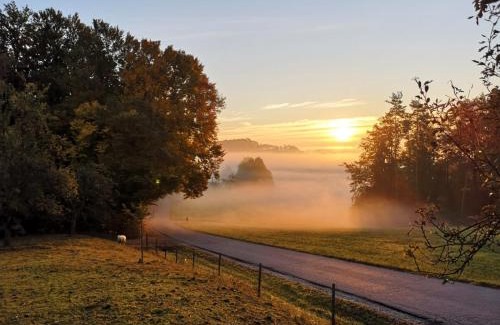 Sankt Margarethen an der Raab Apartment | Ferienwohnung am Trausdorfberg - Rosenblick