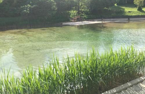 Sankt Veit an der Glan Apartment | Ferienwohnung Poganz