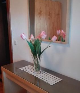 Annaberg im Lammertal Apartment | Ferienwohnung Wohlesser
