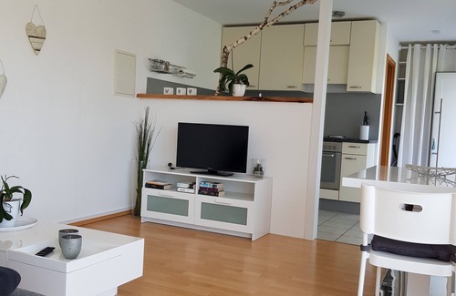 Lippertsreute Apartment | Ferienwohnung, 38qm, 1 Schlafzimmer, max. 3 Personen