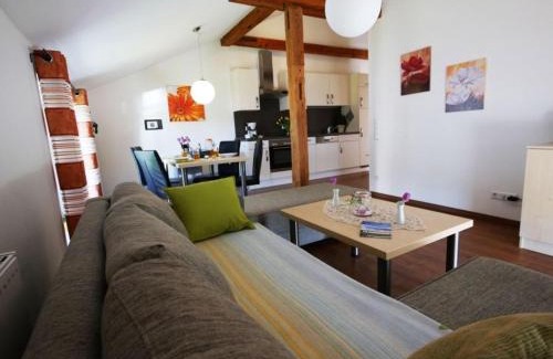Ochsenhausen Apartment | Ferienwohnung 4
