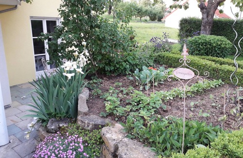 Walddorfhaslach Apartment | Ferienwohnung, 48qm, Gartenterrasse, 1 Schlafzimmer, max. 2 Personen