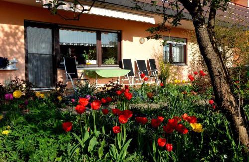 Dilsberg Apartment | Ferienwohnung Abendsonne