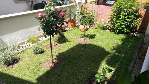 Alpirsbach Apartment | Ferienwohnung Adelsberg