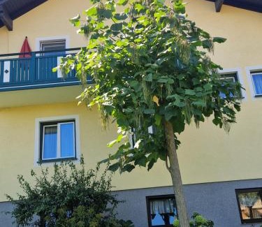 Wald Apartment | Ferienwohnung am Stadtrand