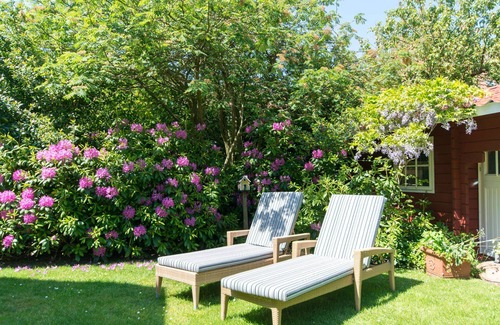 Spiekeroog Apartment | Ferienwohnung/app. für 3 Gäste mit 40m² in Spiekeroog