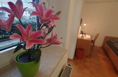 Zwingenberg Apartment | Ferienwohnung/app. für 2 Gäste mit 24m² in Zwingenberg