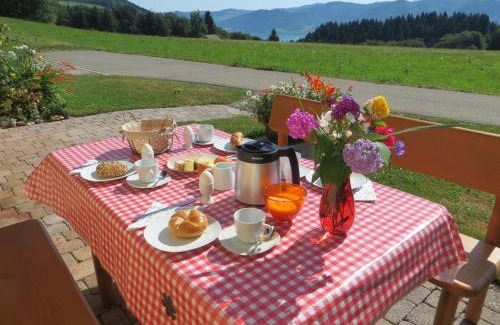 Nussdorf am Attersee Apartment | Ferienwohnung Brigitte Perner