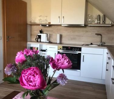 Gappenach Apartment | Ferienwohnung auf dem Maifeld