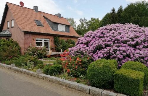 Wietzendorf Apartment | Ferienwohnung Bachmanns Ruh