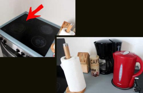 Mainz-Bingen Apartment | Ferienwohnung Bambushain Nieder-Olm