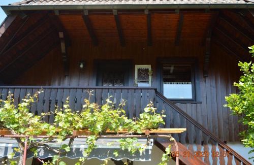 Gutach Apartment | Ferienwohnung Beim Holzmann