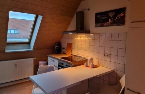 Zschernitzsch Apartment | Ferienwohnung Carola