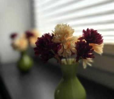 Schleiden Apartment | Ferienwohnung Classen Eifel