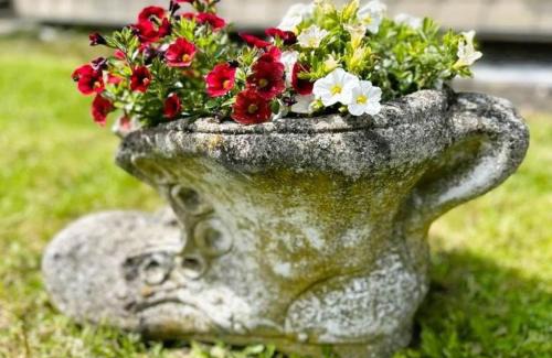 Schleiden Apartment | Ferienwohnung Classen Eifel