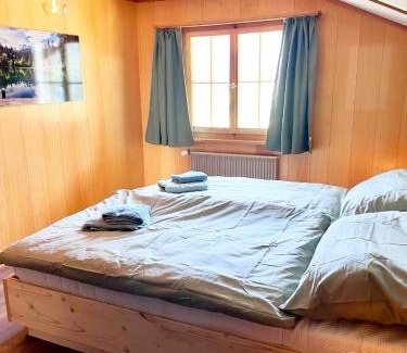 Sedrun Apartment | Ferienwohnung Dachnest