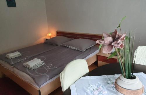 Celle Apartment | Ferienwohnung Danziger