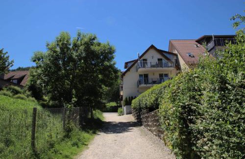Bodman-Ludwigshafen Apartment | Ferienwohnung Ledergerber