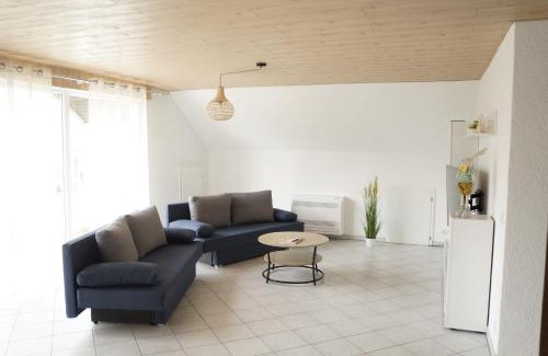 Kappel-Grafenhausen Apartment | Ferienwohnungen zur Elz - Traumhafte 160 qm Wohnung mit Pool und Garten Nähe des Europaparks