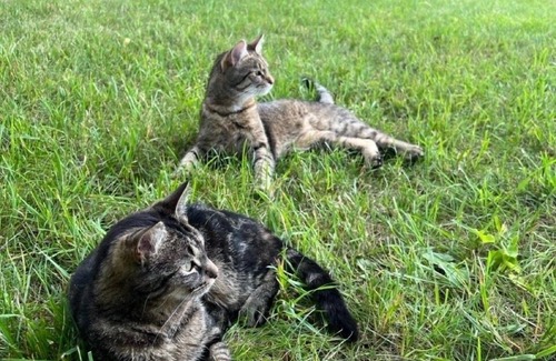 Plath Apartment | Ferienwohnung/app. für 3 Gäste mit 60m² in Lindetal OT Plath