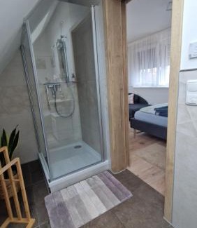 Frickenfelden Apartment | Ferienwohnung Elisabeth 3