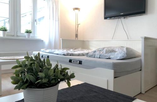 Obererlinsbach Apartment | Ferienwohnung Erlinsbach SO