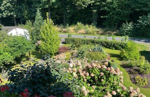 Zittau Mountains Apartment | Ferienwohnung Familie Petschel
