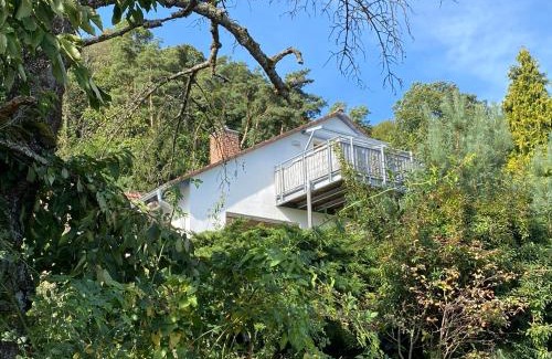 Weyher in der Pfalz Apartment | Ferienwohnung Fernblick Pfalz - mit Sauna