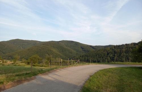 Laaben bei Neulengbach Apartment | Ferienwohnung Großleiten Alm