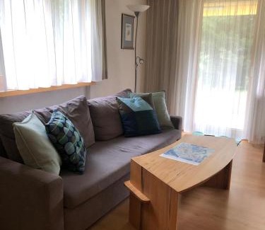 Laret Apartment | Ferienwohnung Haus Ginseng
