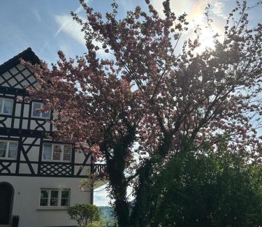 Oberkirch Apartment | Ferienwohnung Hesselbach