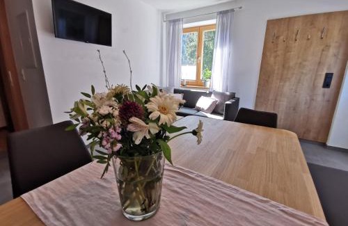 Annaberg im Lammertal Apartment | Ferienwohnung Hirscher