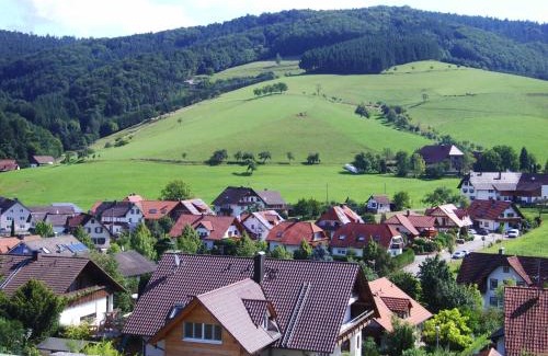 Schuttertal Apartment | Ferienwohnung Himmelsbach