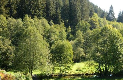 Titisee-Neustadt Apartment | Ferienwohnung im Kupferhammer