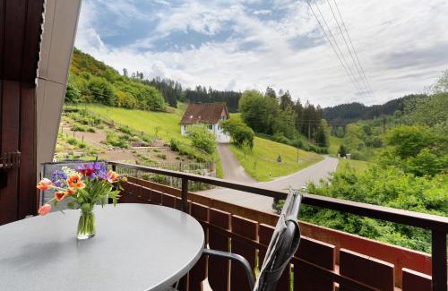 Schenkenzell Apartment | Ferienwohnung im Hof 120qm